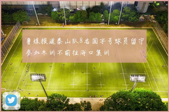 鲁媒报道泰山队8名国字号球员留守参加冬训不前往海口集训